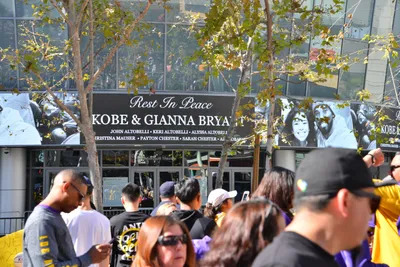 DSC_7194 (Large).JPG